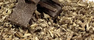 vtt-granulous 1.jpg granulous material on spent grains